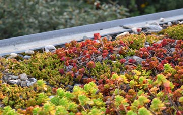 the cost of Beck Foot green roof installation