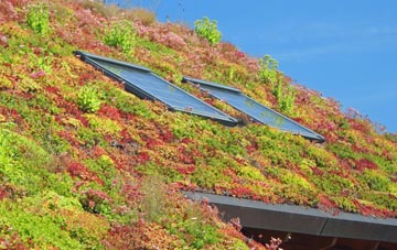 Beck Foot living roof systems