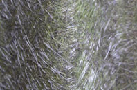 Beck Foot fibreglass roof work